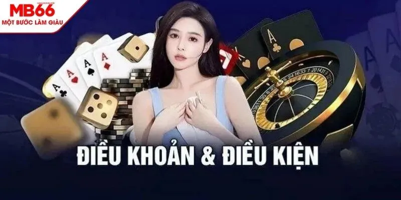 Điều khoản điều kiện cần biết