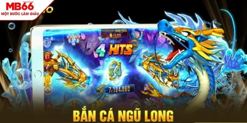 Vài nét về bắn cá ngũ long