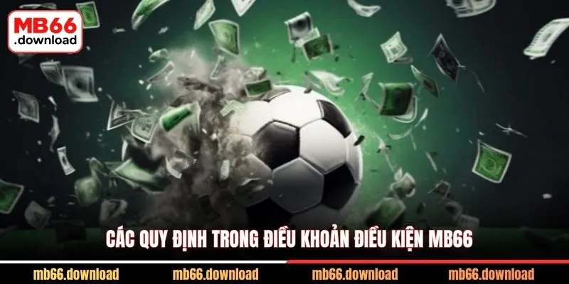 Các quy định trong điều khoản điều kiện MB66