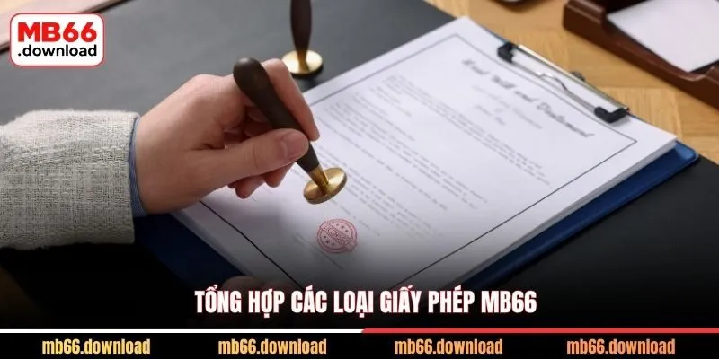 Tổng hợp các loại giấy phép MB66