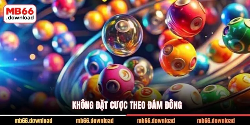 Không đặt cược theo đám đông