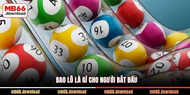 Bao lô là gì cho người bắt đầu